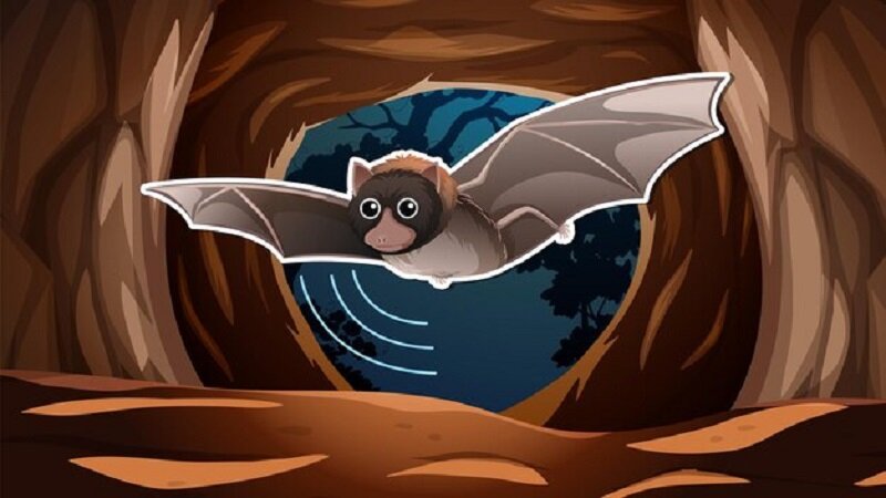 Exploring clipart:h80clp349va= bat: A Deep Dive into Bat Designs